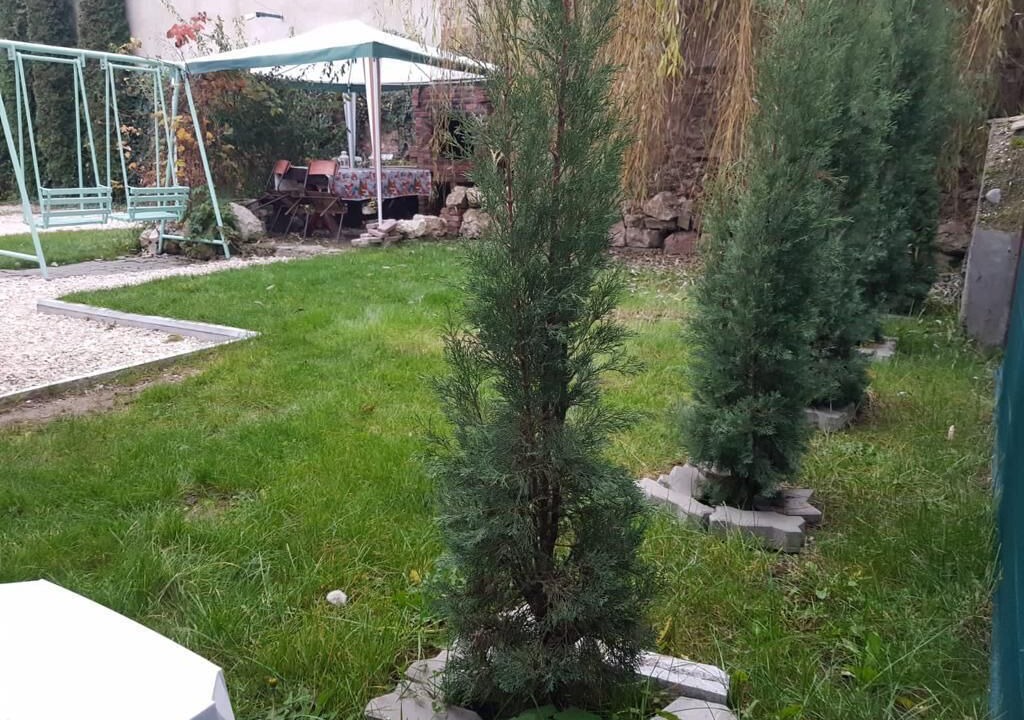 Photo of Outdoor in Rasnov