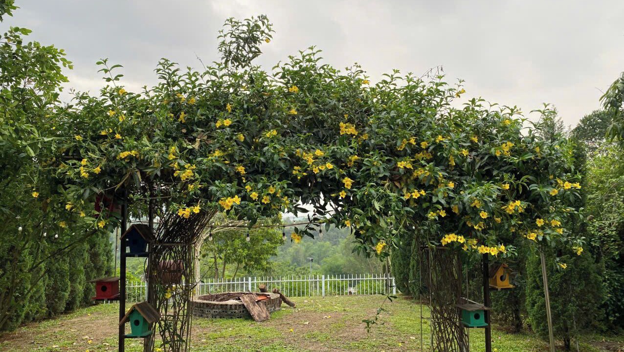 Photo of Outdoor in Van Chan