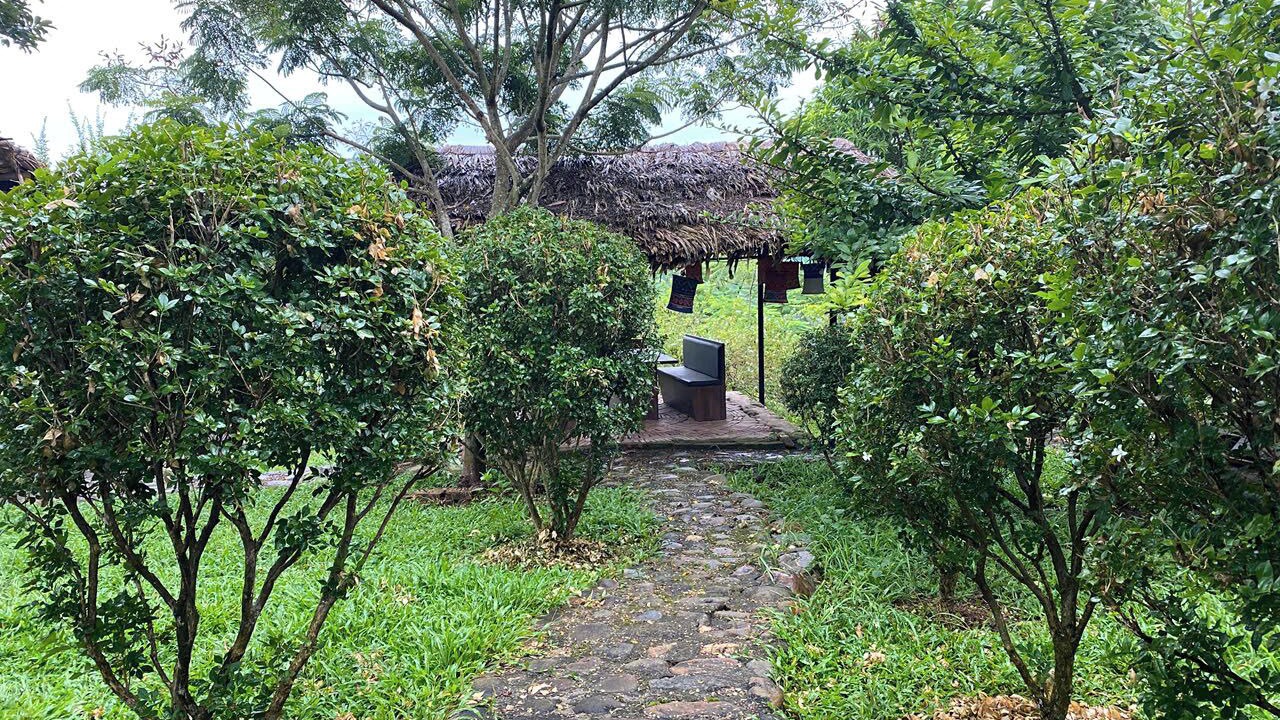Photo of Outdoor in Van Chan