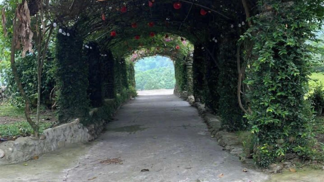 Photo of Outdoor in Van Chan
