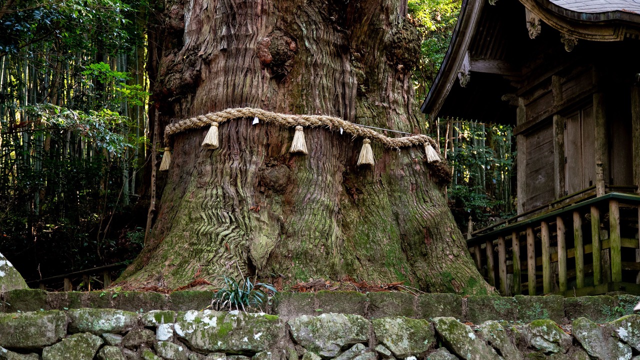 Photo of Others in Yufuin Onsen