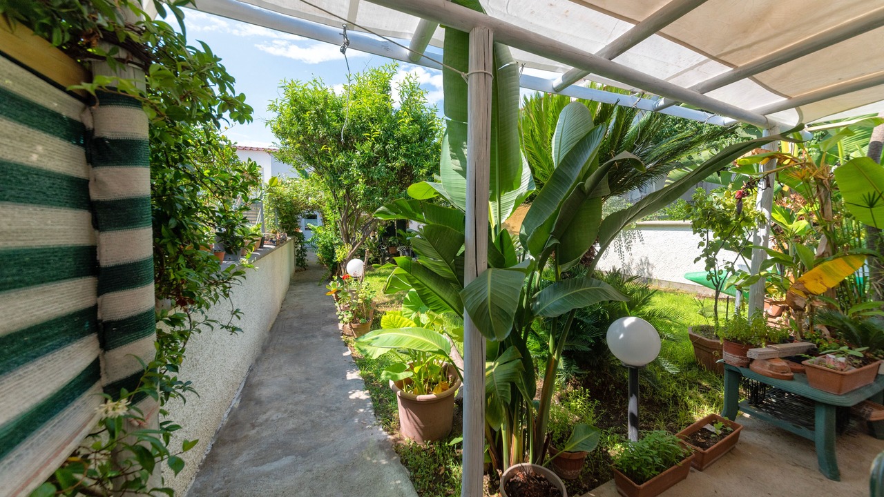 Photo of Outdoor in Ischia Porto