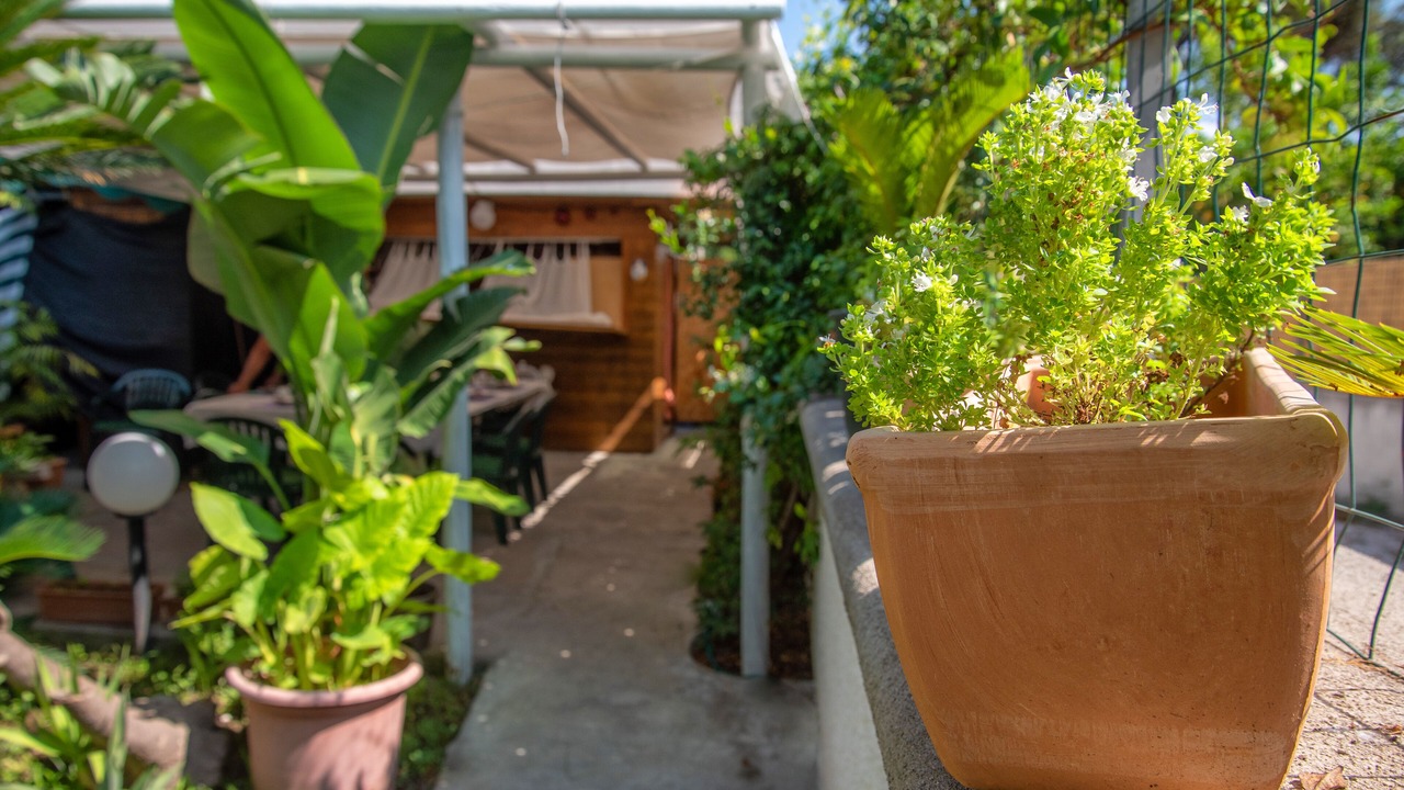 Photo of Outdoor in Ischia Porto