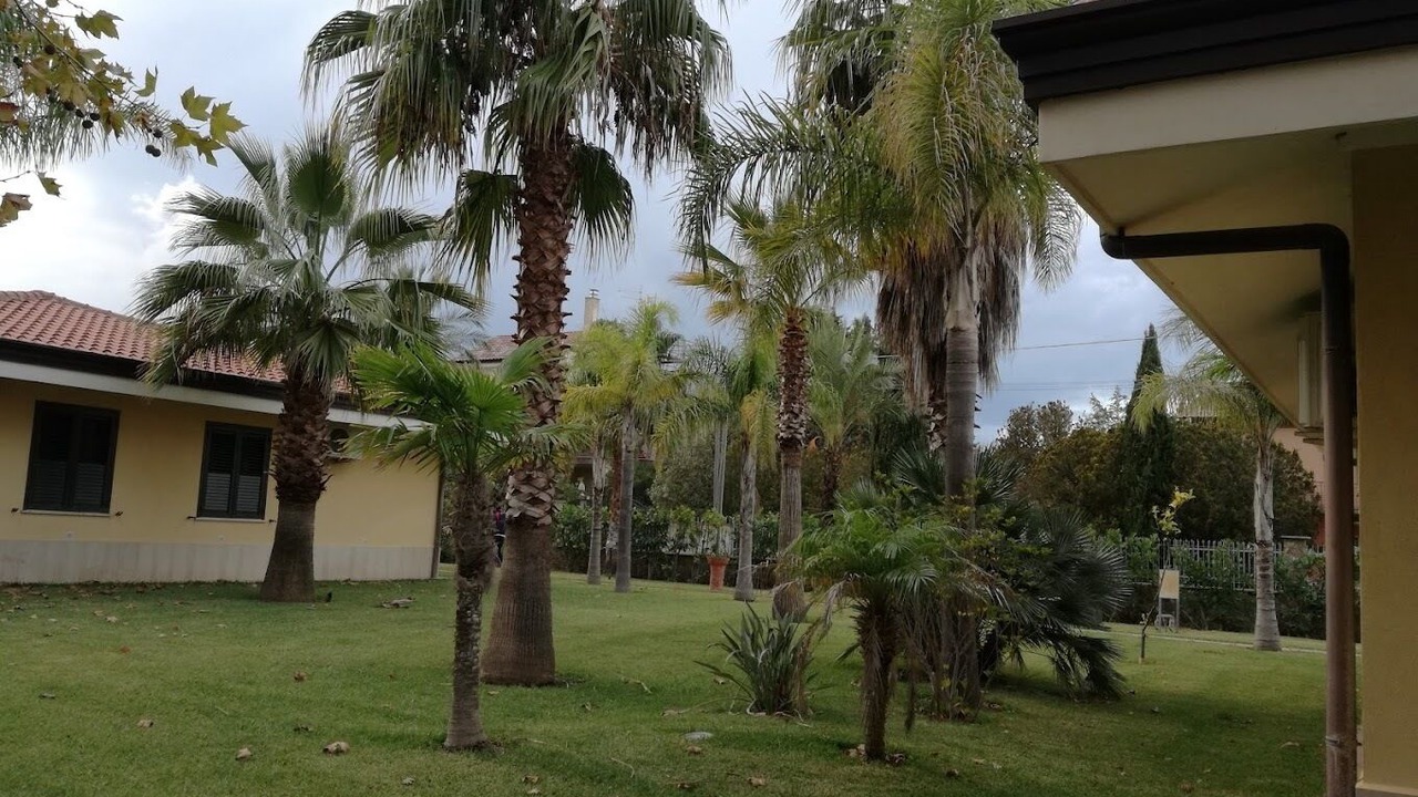 Photo of Outdoor in Laura
