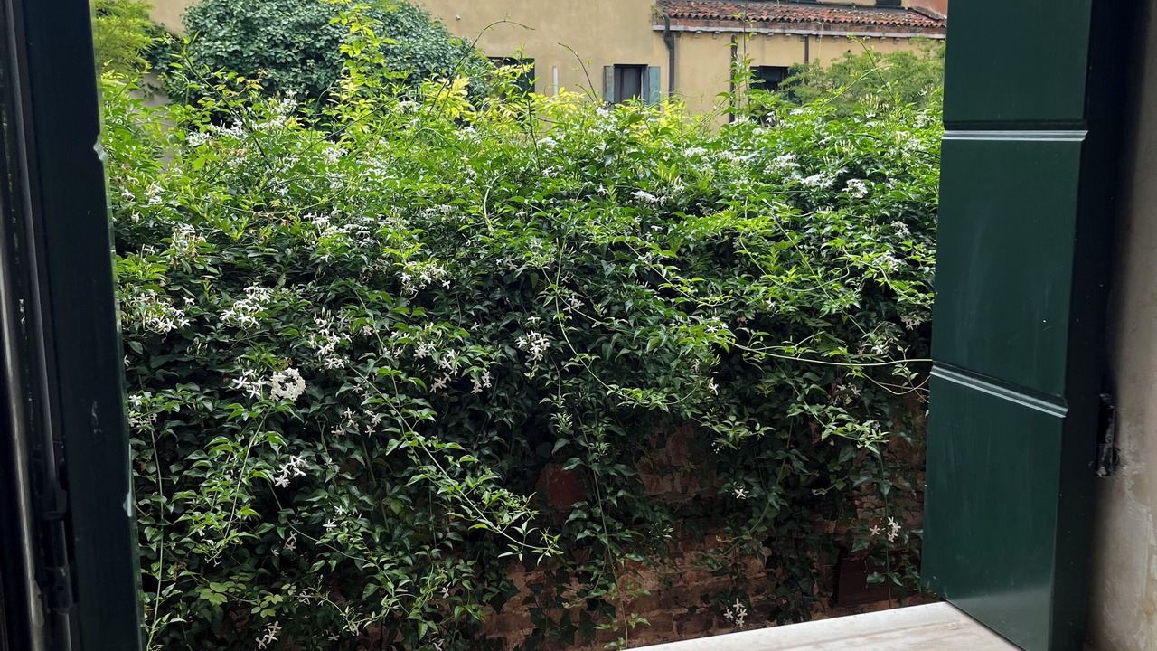 Photo of Outdoor in Castello