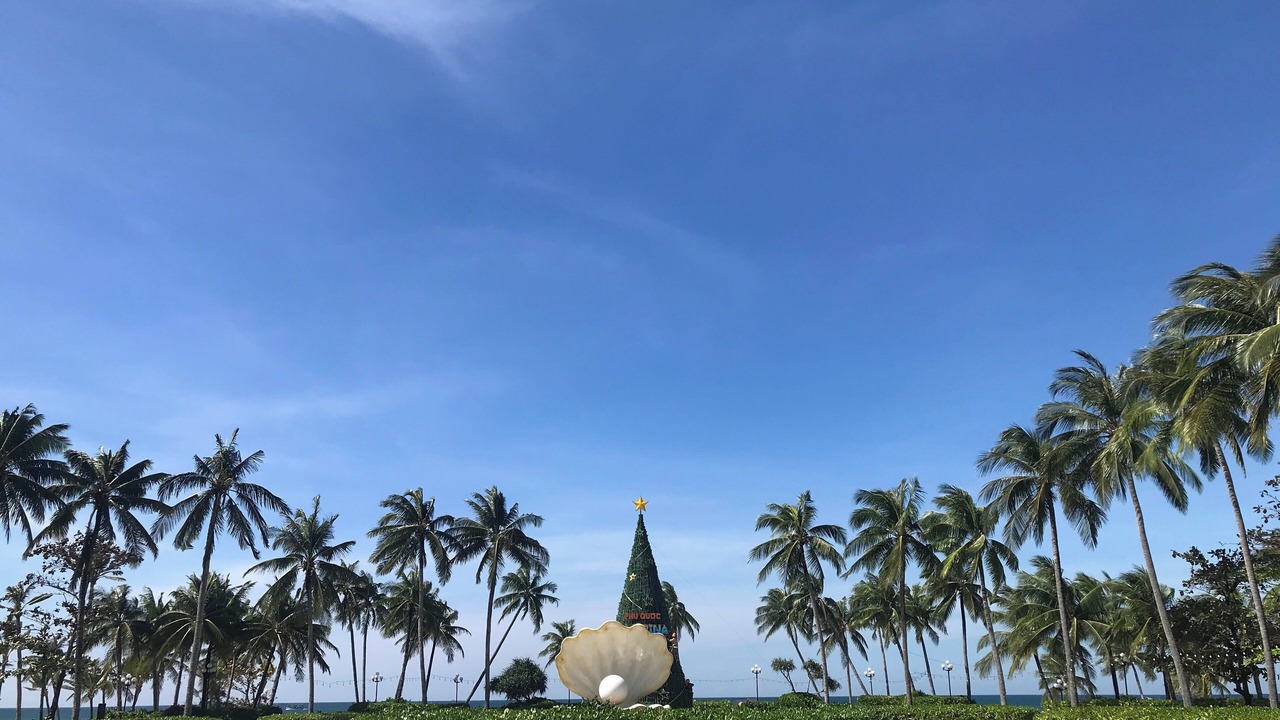 Photo of Outdoor in Duong To