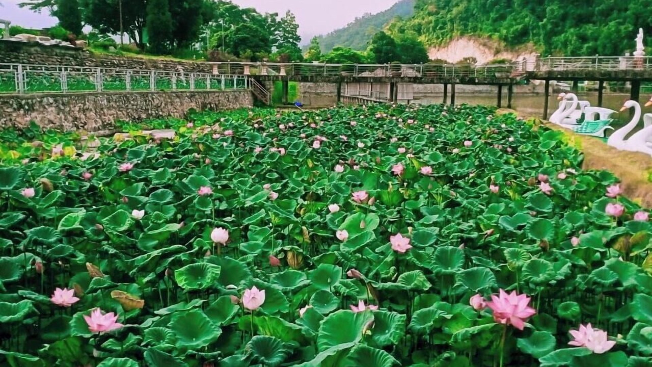 Photo of Outdoor in Dien Bien