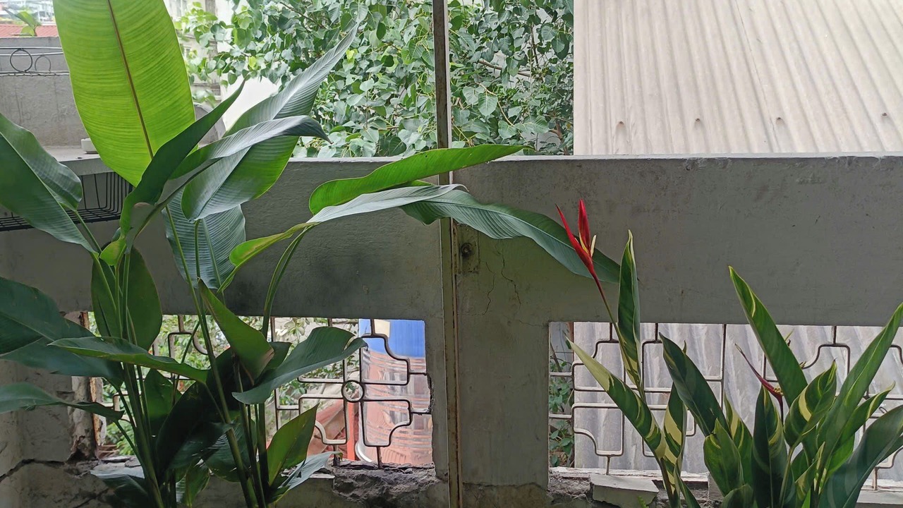 Photo of Outdoor in Hang Bac