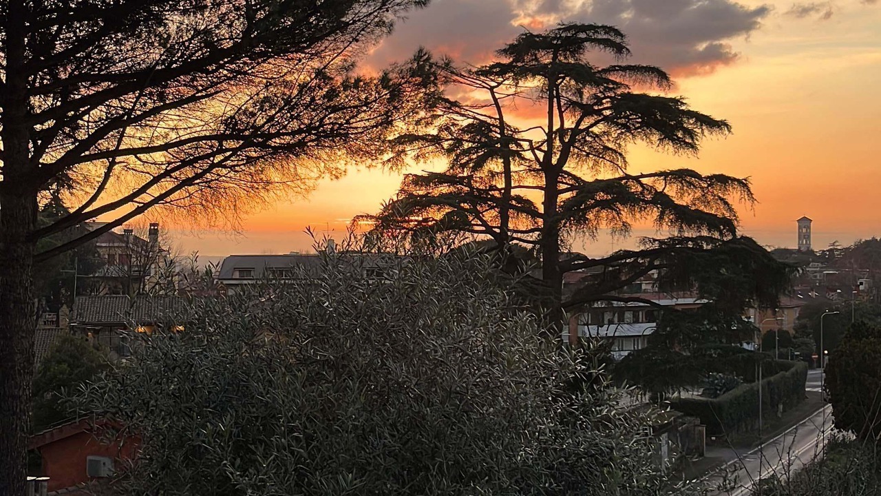 Photo of Outdoor in Grottaferrata
