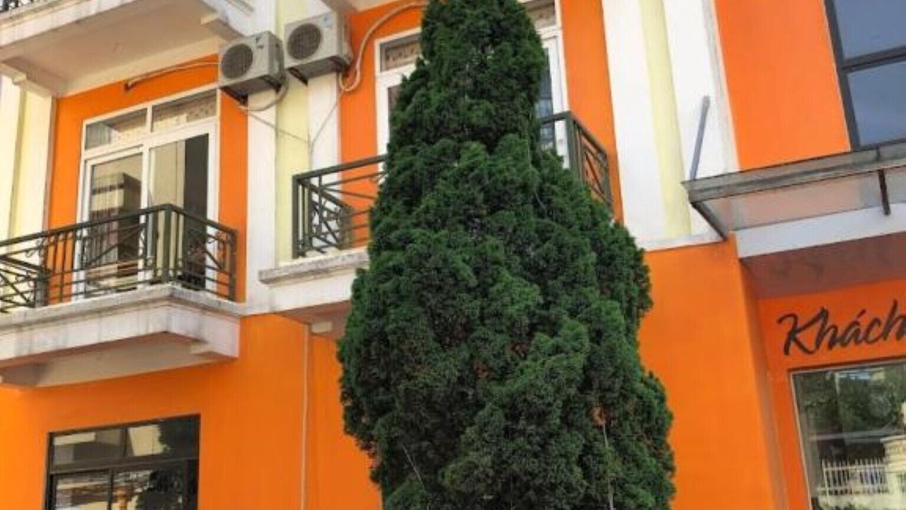 Photo of Outdoor in Tam Dao