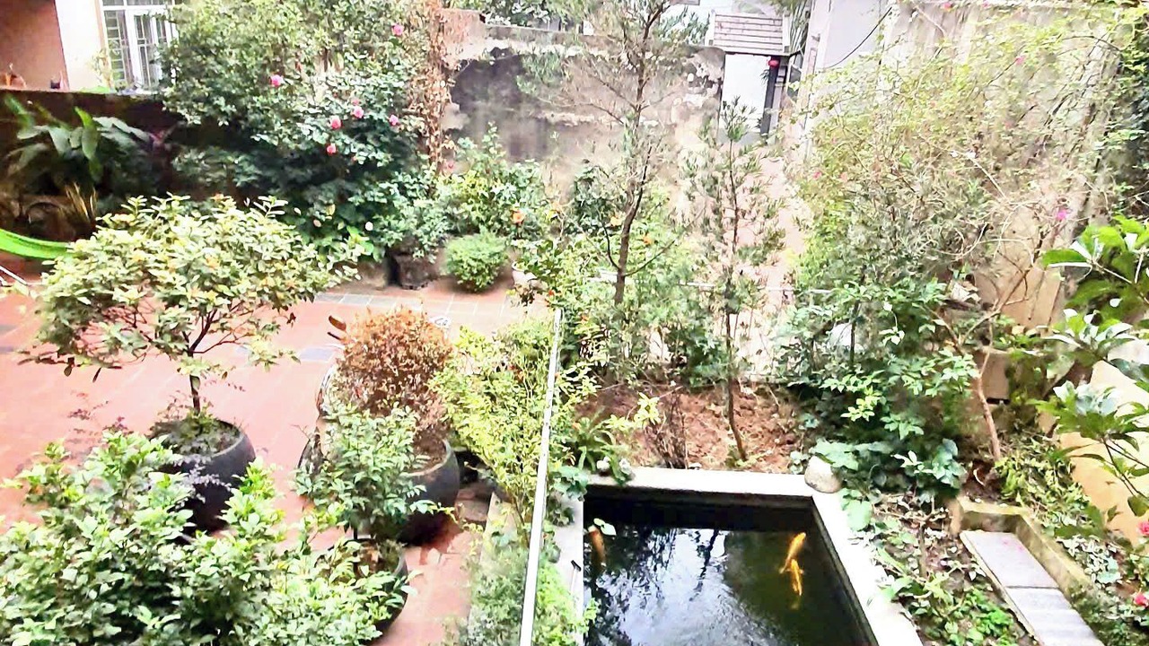 Photo of Outdoor in Dong Anh