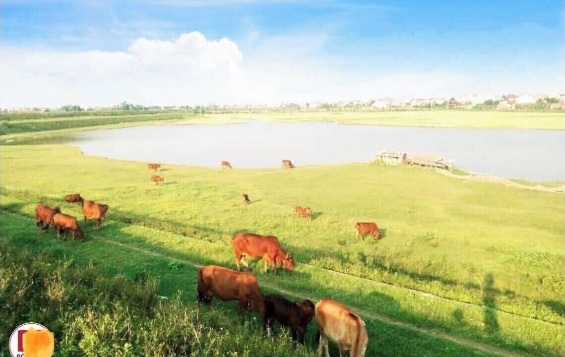 Photo of Outdoor in Dong Anh