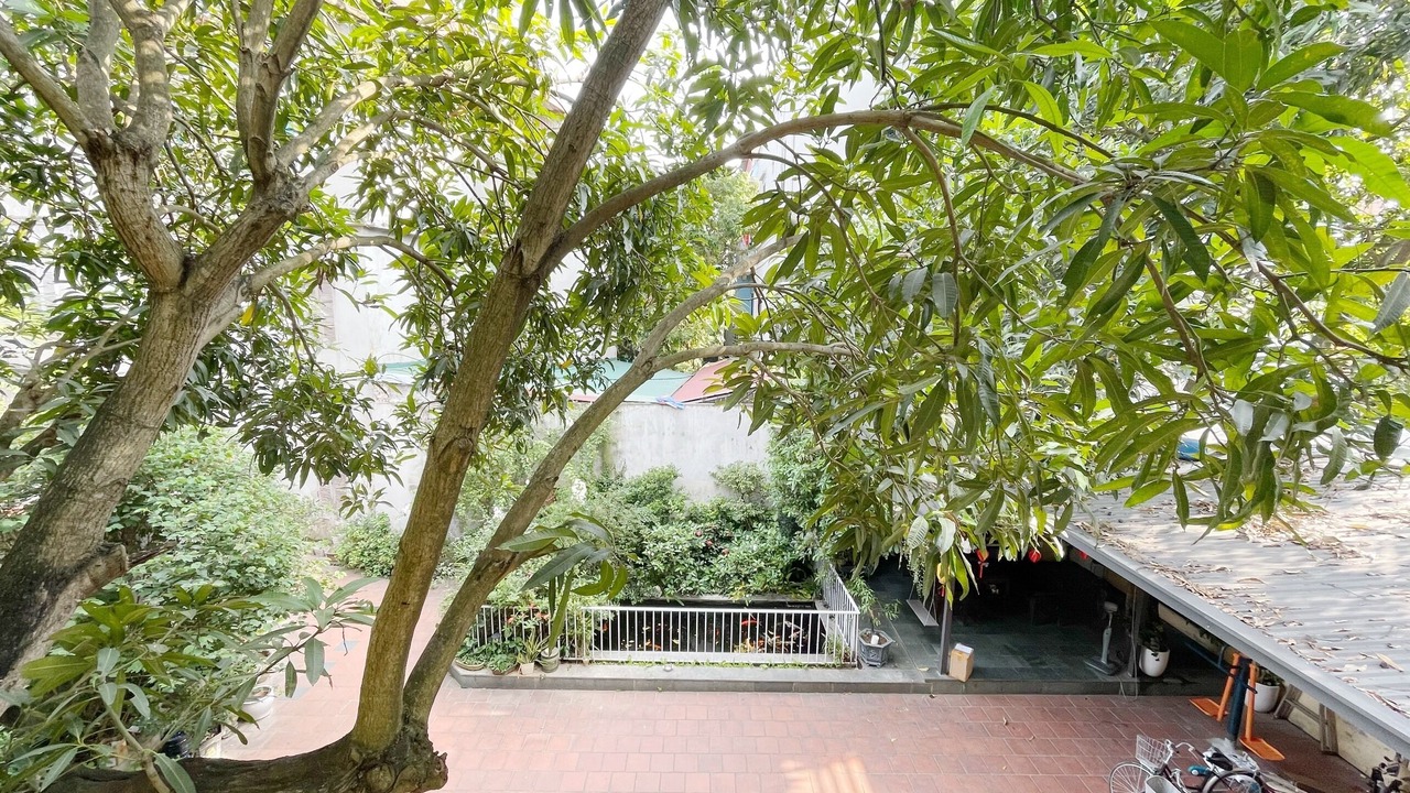 Photo of Outdoor in Dong Anh