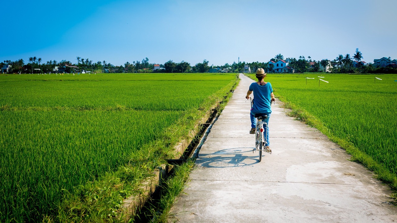 Photo of Outdoor in Cam Pho