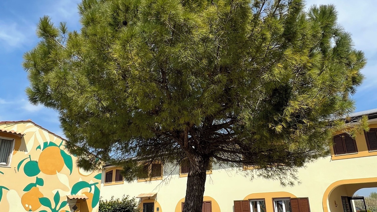 Photo of Outdoor in Magazzeno