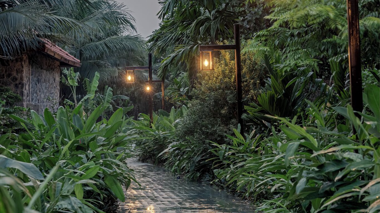 Photo of Outdoor in Hoa Lu