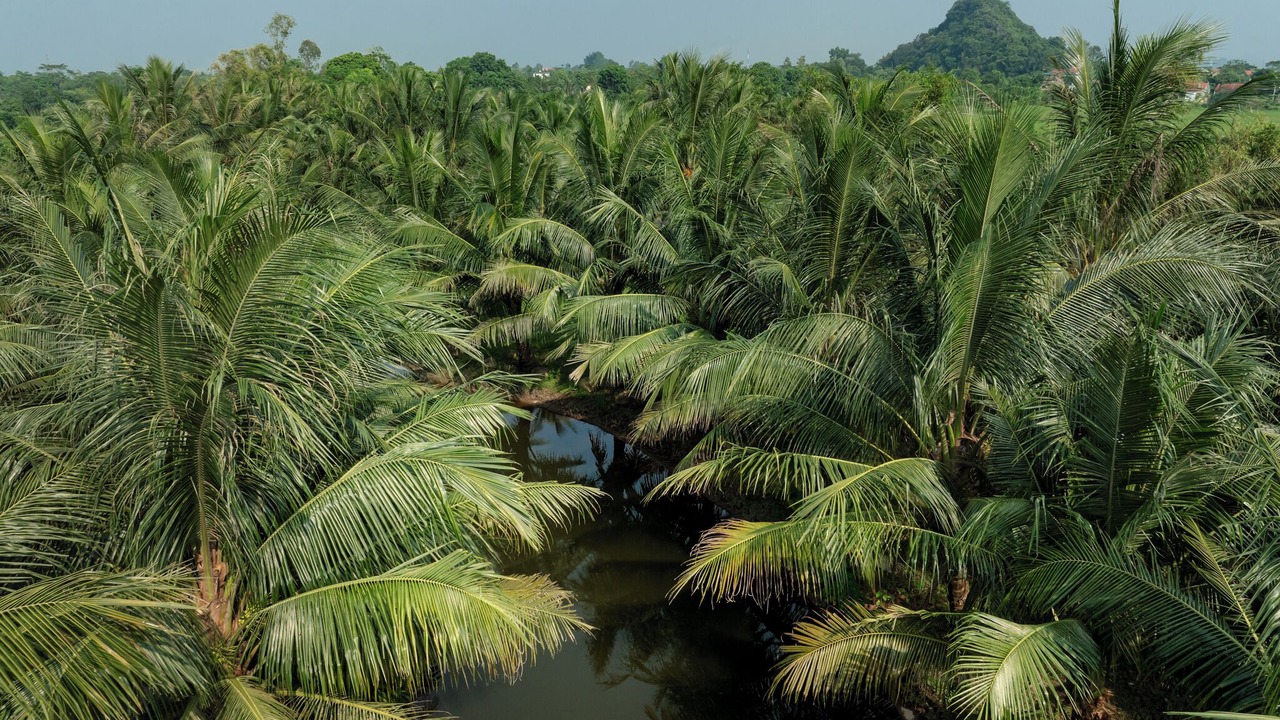 Photo of Outdoor in Hoa Lu