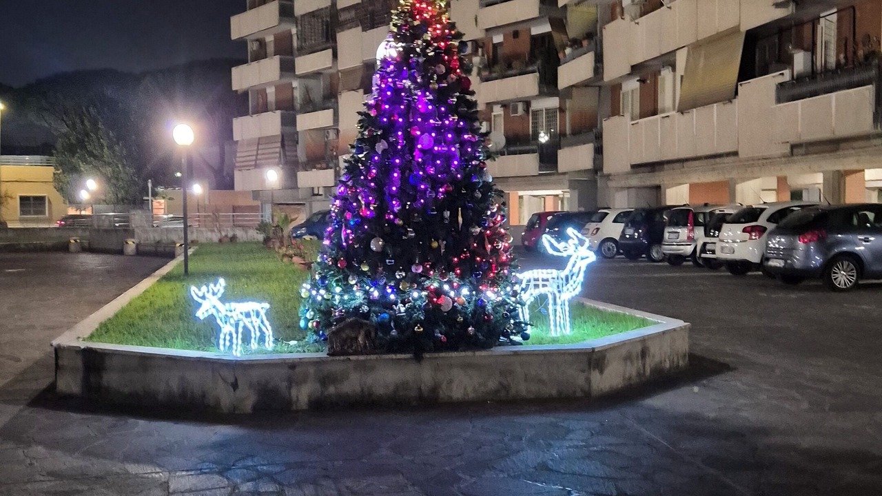 Photo of Outdoor in Zona XV Torre Maura
