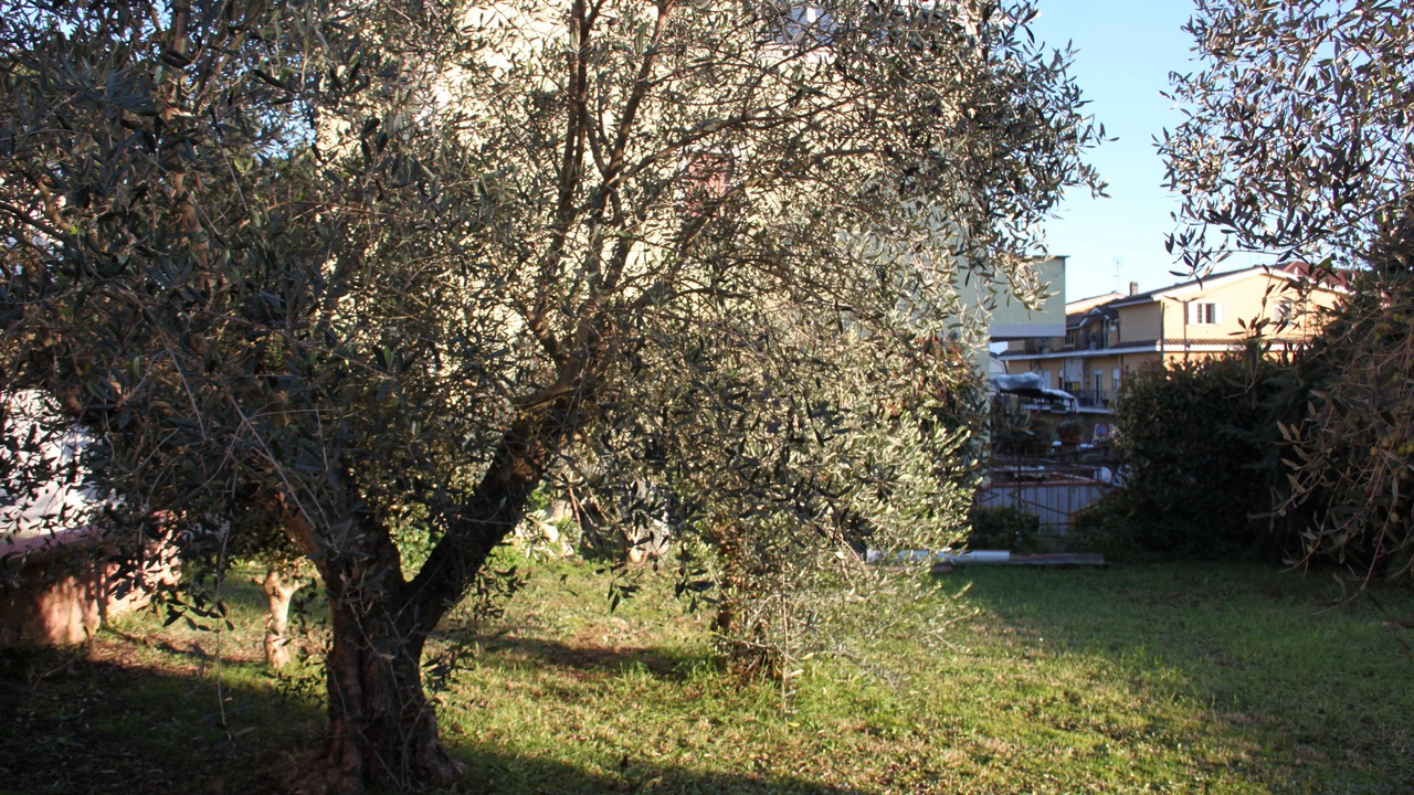 Photo of Outdoor in Valmontone