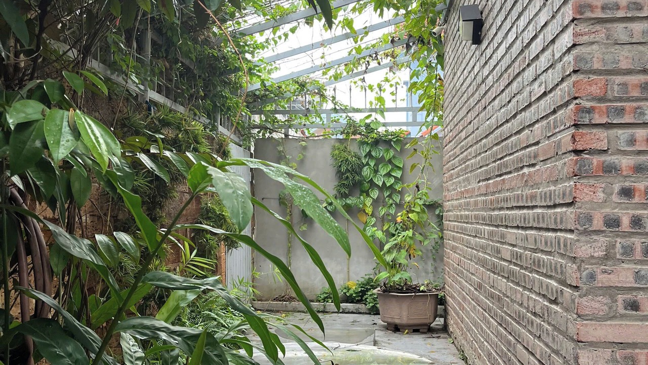 Photo of Outdoor in Son Tay