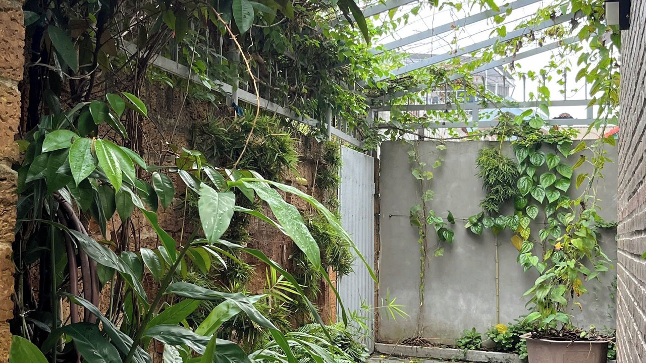 Photo of Outdoor in Son Tay