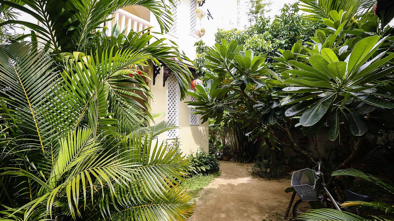 Photo of Outdoor in Cam Chau