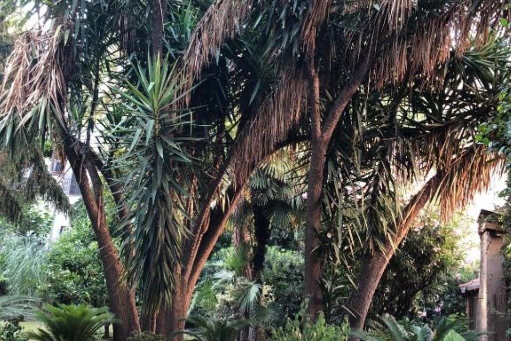Photo of Outdoor in Tuscolano
