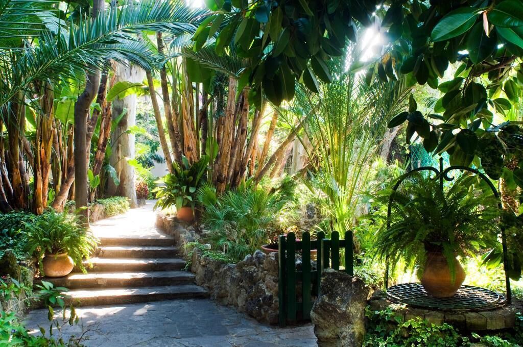 Photo of Outdoor in Ischia Porto