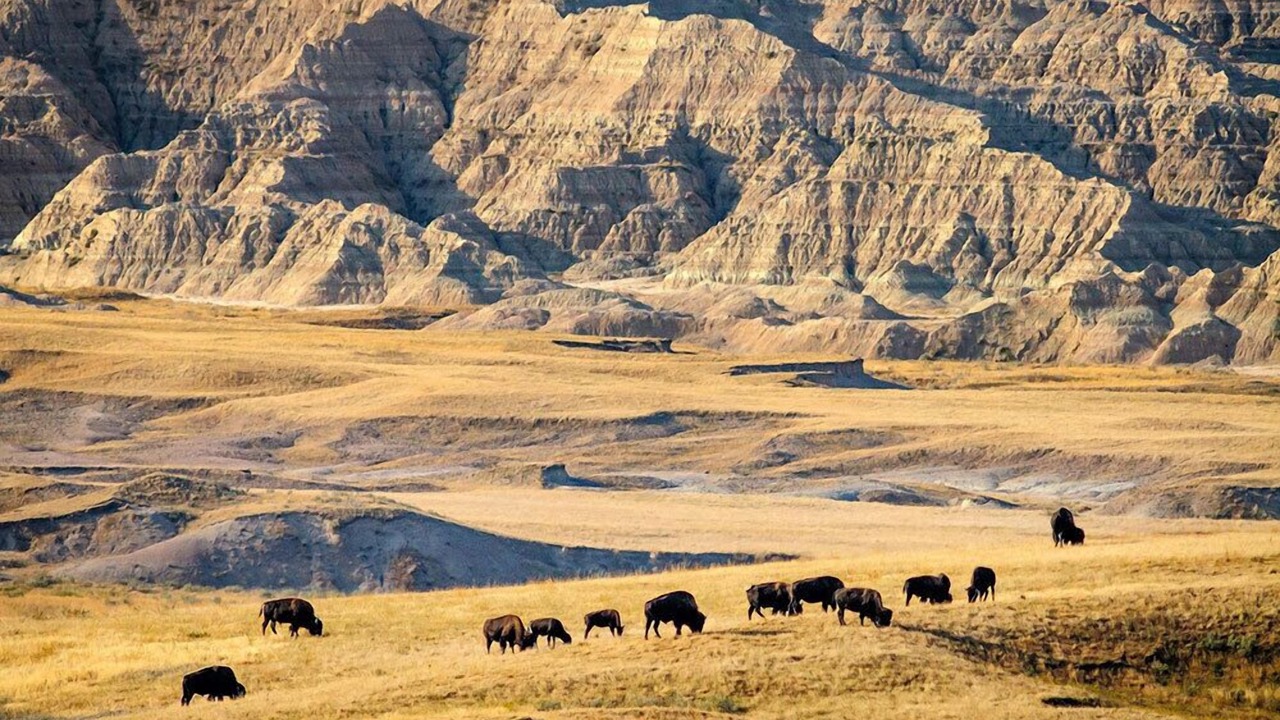 Photo of Outdoor in Rapid City