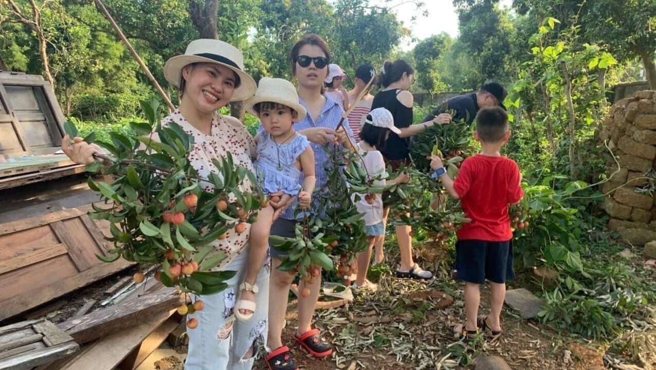 Photo of Outdoor in Luong Son