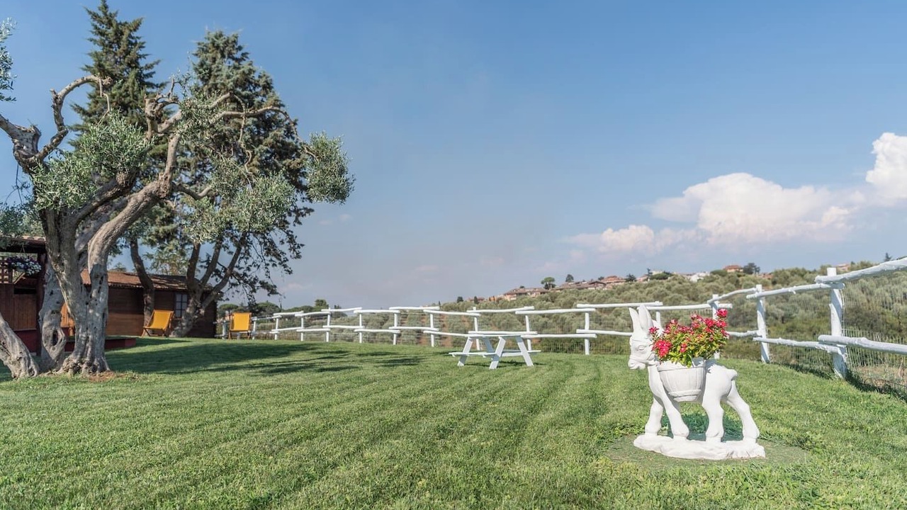 Photo of Outdoor in Cassia