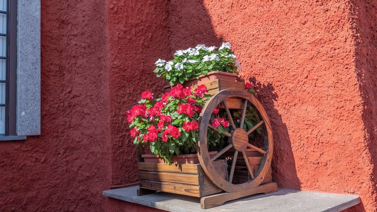 Photo of Outdoor in Cassia