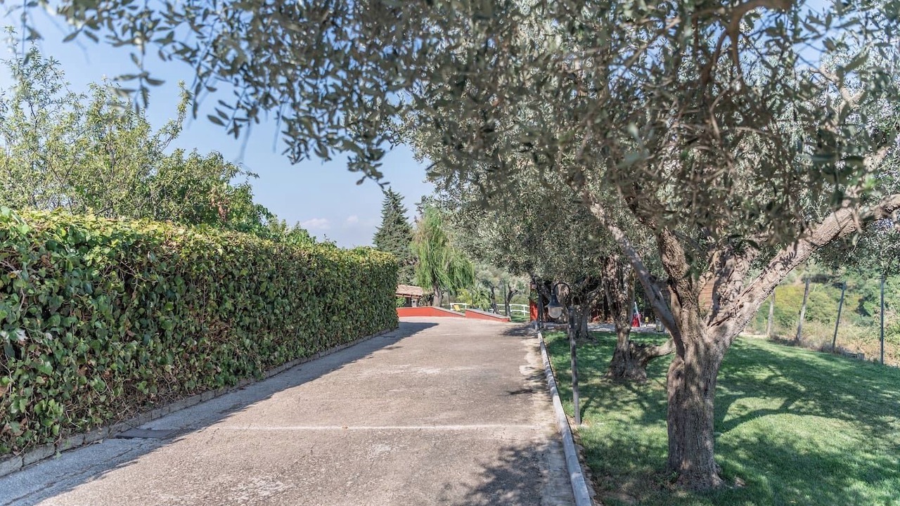 Photo of Outdoor in Cassia