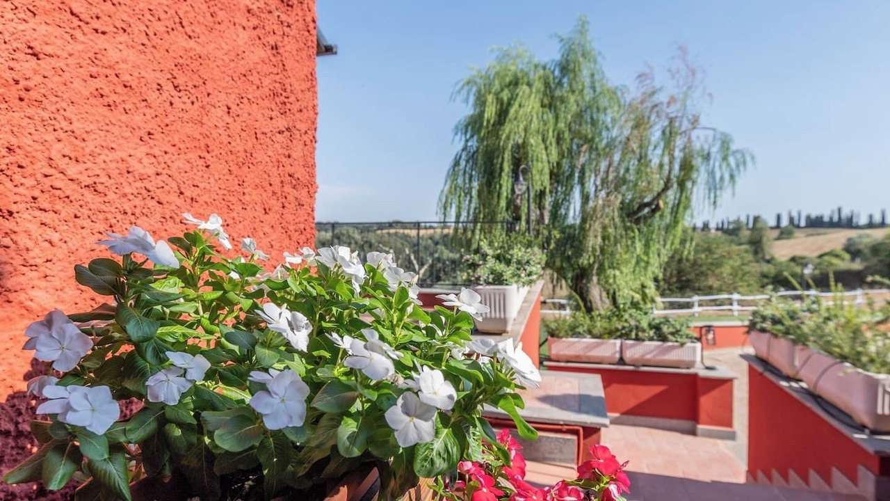 Photo of Outdoor in Cassia