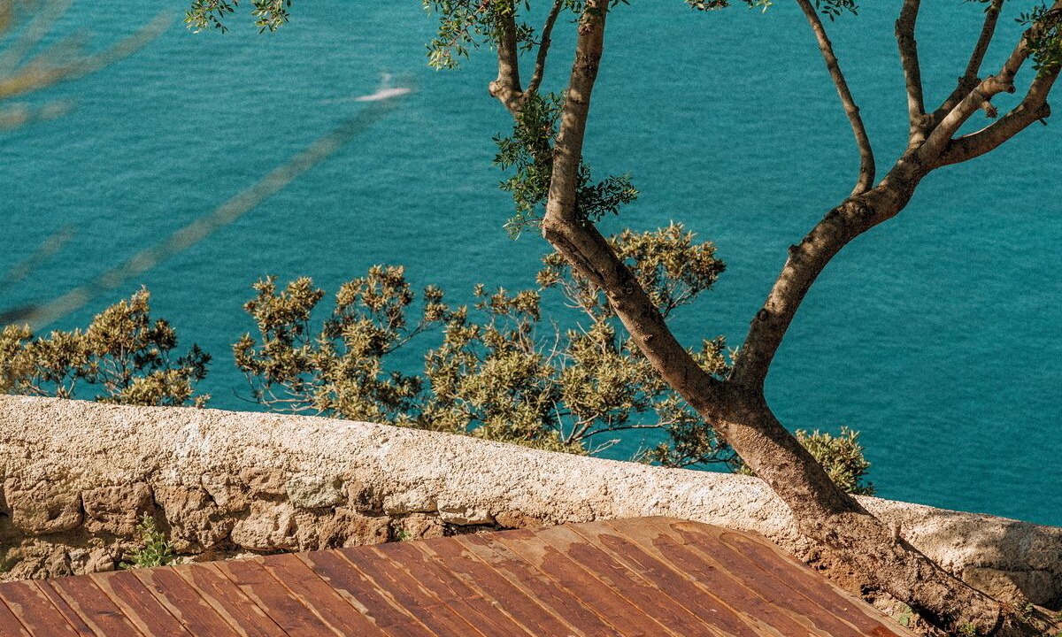 Photo of Outdoor in Panza