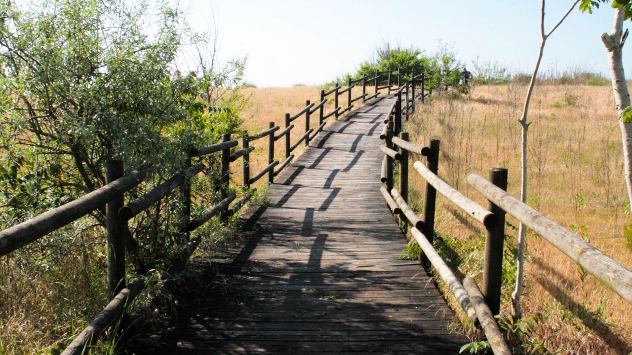 Photo of Outdoor in Ca' Savio