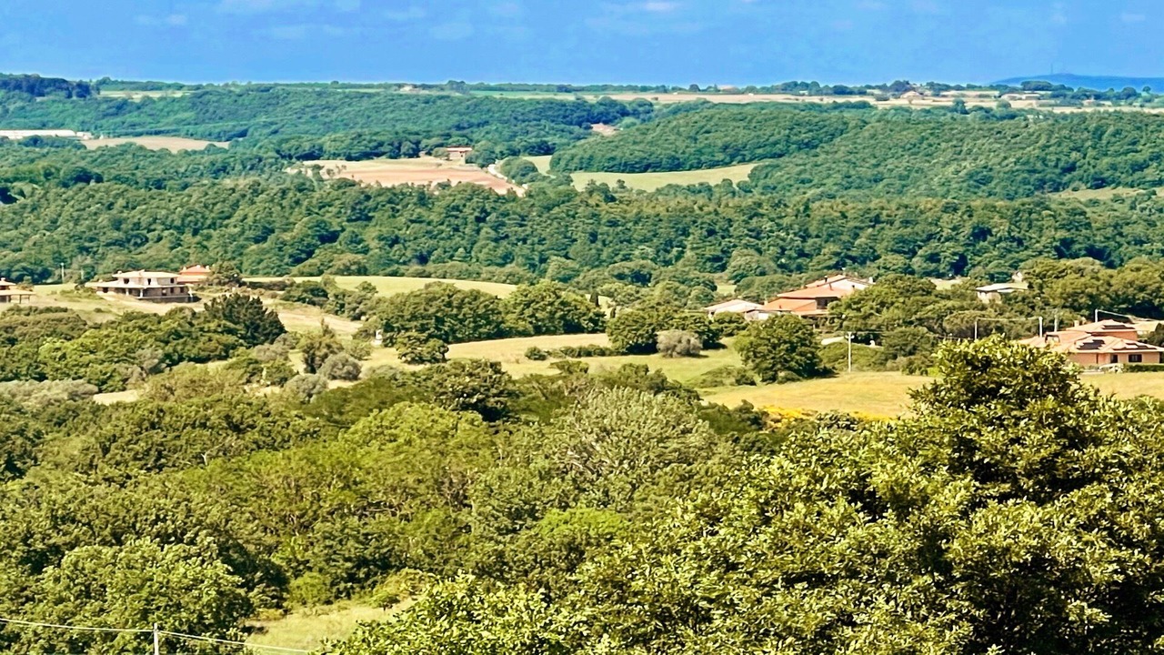 Photo of Outdoor in Montefiascone