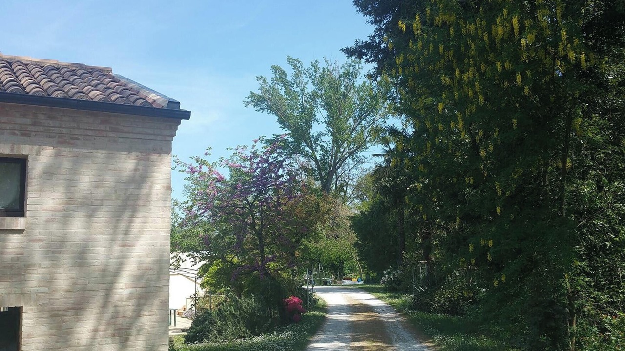 Photo of Outdoor in Montalto delle Marche