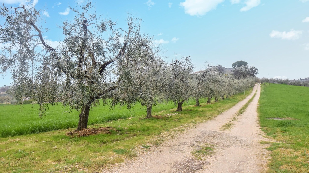 Photo of Outdoor in Cantalupo in Sabina