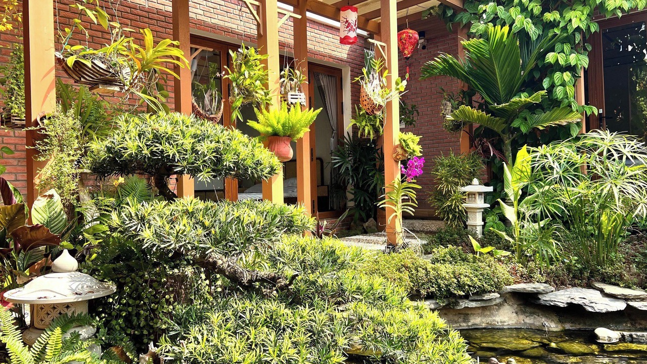 Photo of Outdoor in Duong To