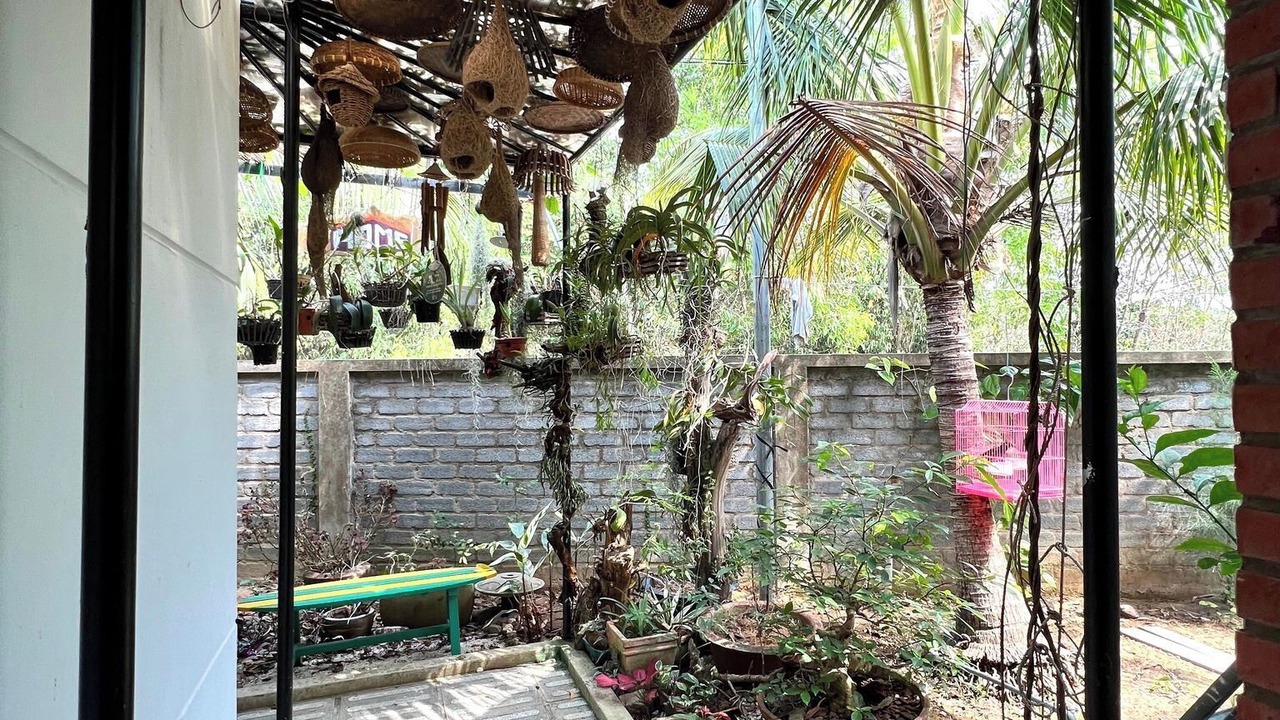 Photo of Outdoor in Duong To