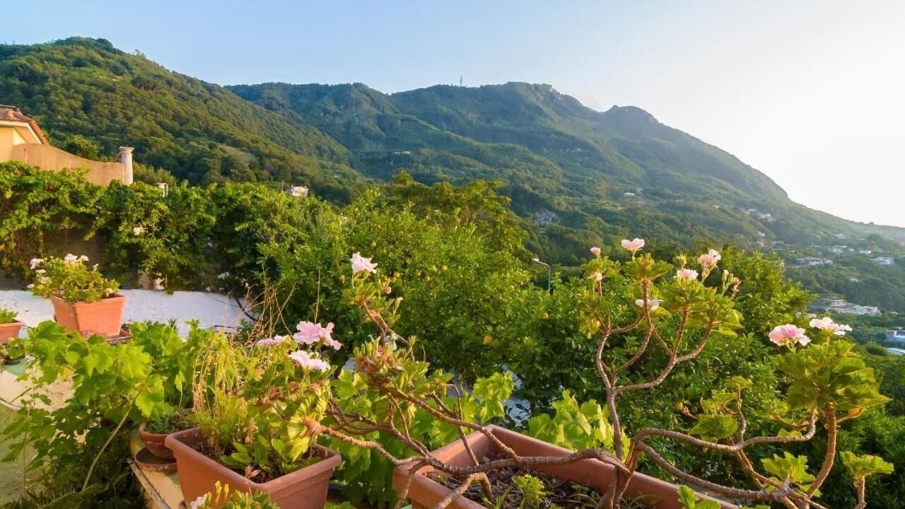 Photo of Outdoor in Casamicciola Terme