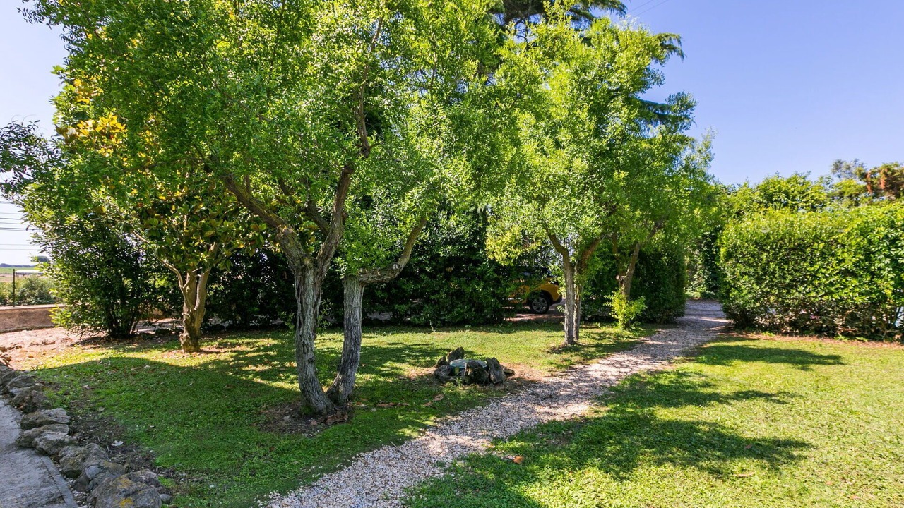 Photo of Outdoor in Pescia Romana