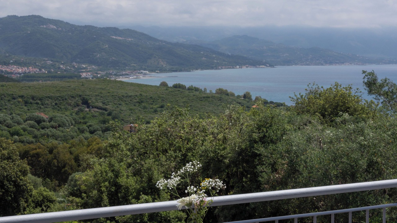 Photo of Outdoor in Scario
