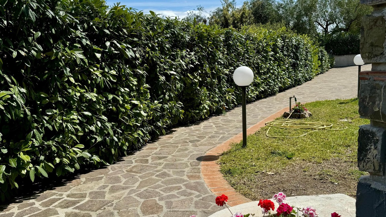 Photo of Outdoor in Scario
