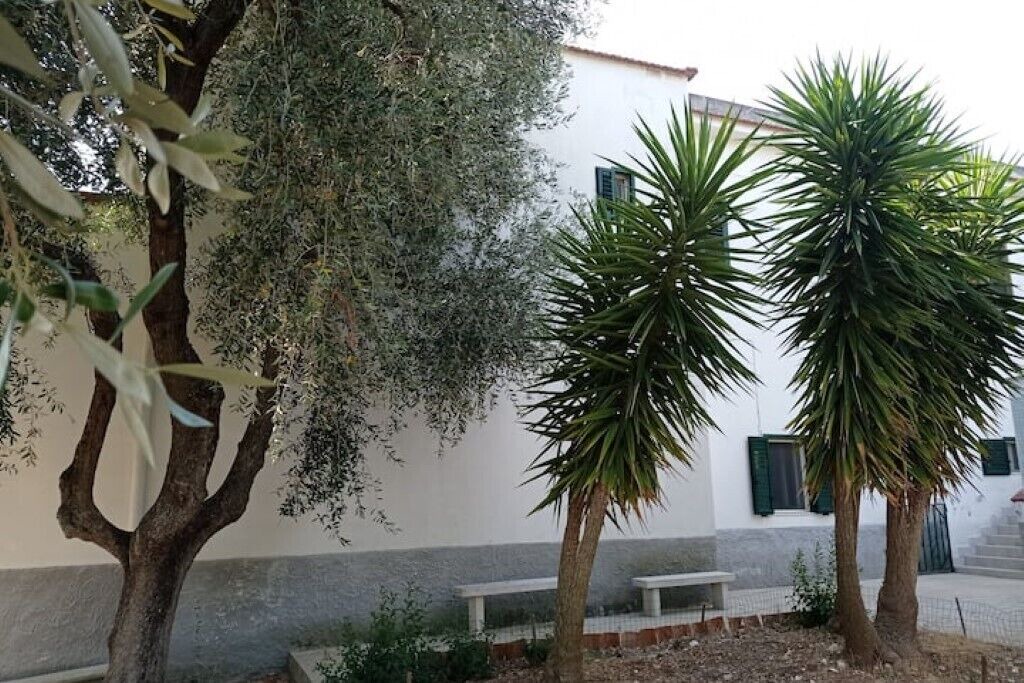 Photo of Others in Montincello