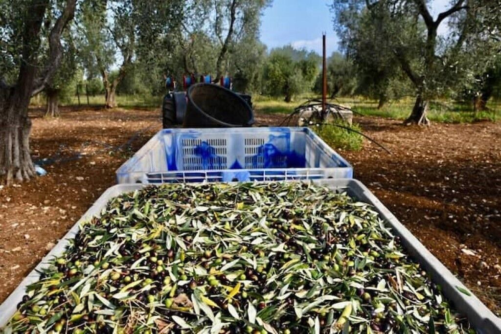 Photo of Outdoor in Montincello