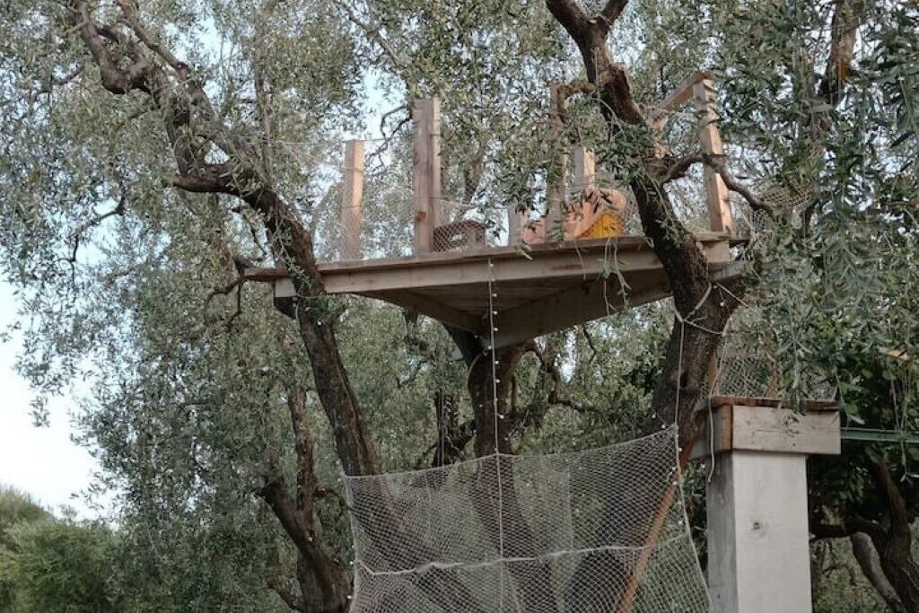 Photo of Others in Montincello