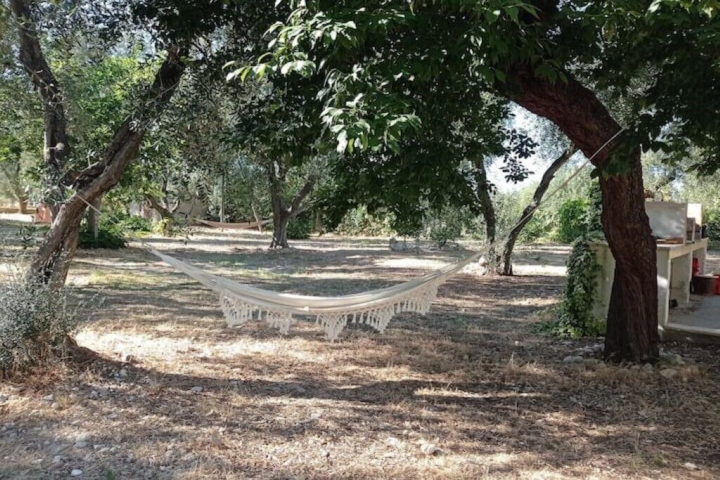 Photo of Outdoor in Montincello