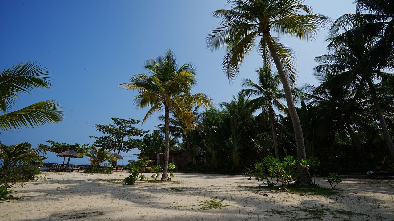 Photo of Others in Ganh Dau